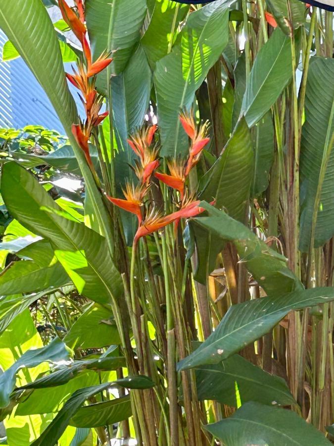 Villa Mango 150 Metres Plage A Pied Sainte-Luce Exterior foto